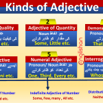 Kinds of Adjective
