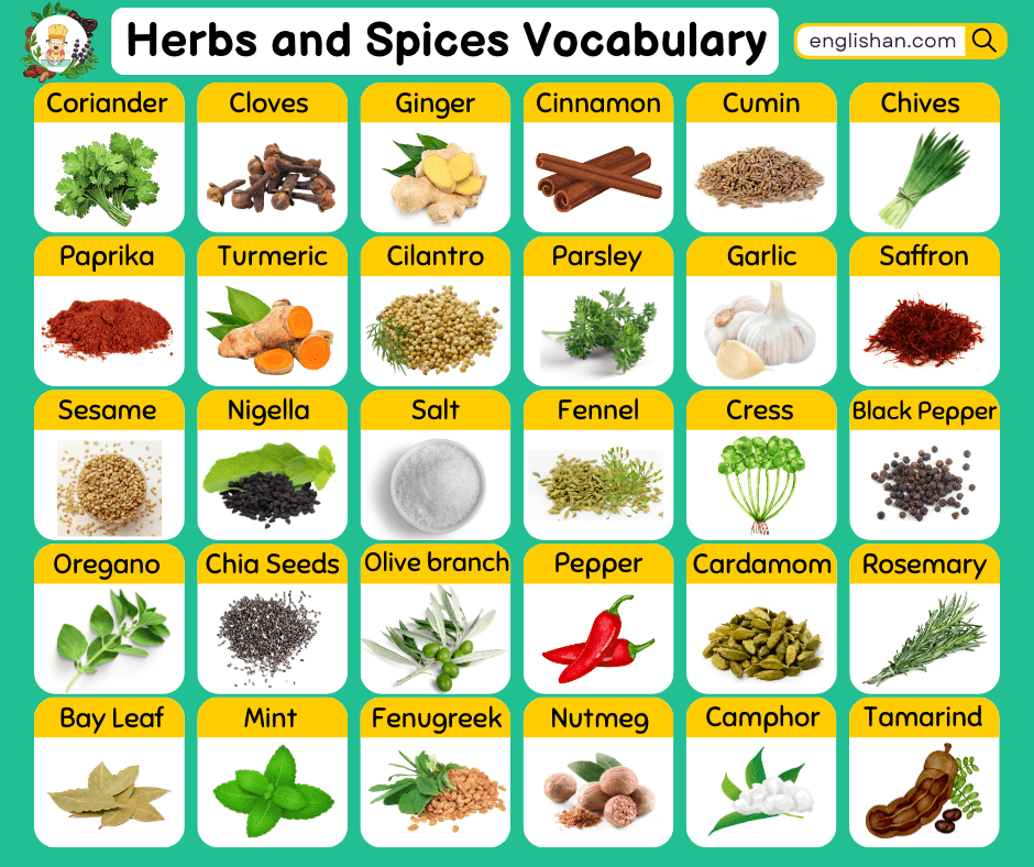 Herbs and Spices Vocabulary