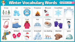 Winter Vocabulary Words