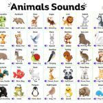 Various animals making unique sounds