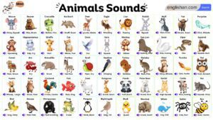 Various animals making unique sounds