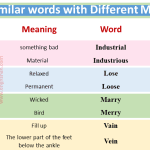 Same Word Different Meaning Examples