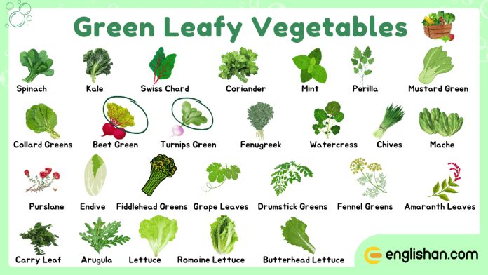 Names of Green Leafy Vegetables and Their Pictures