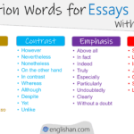 Transition Words for essays with Example Sentences of each Transition word