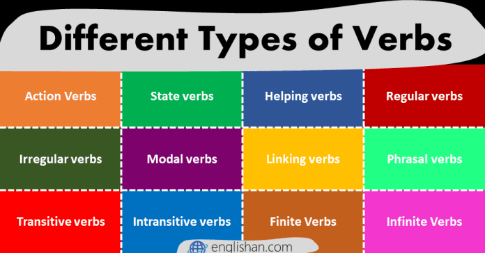 Types of Verbs in English Grammar Definition and Examples