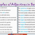 100 Examples of Adjectives in Sentences