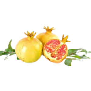 Yellow Pomegranate
