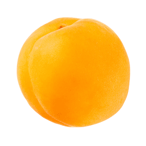 Yellow Apricot