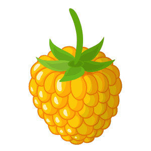 Yellow Raspberry