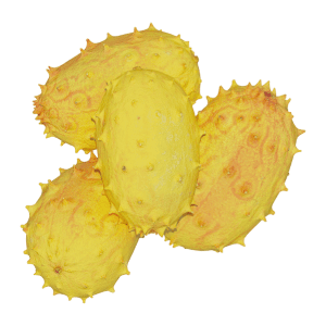 Yellow Horned Melon (Kiwano)