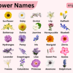 100 Flowers Names in English with Pictures