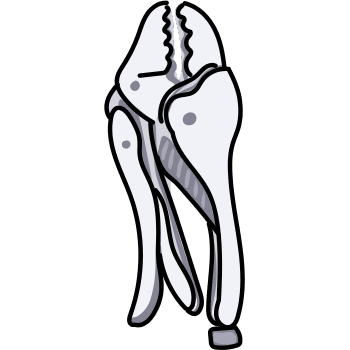 Grip Pliers