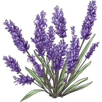 Lavender-Learn Indoor Plants Names
