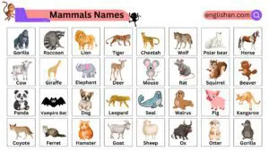 100 Mammals Names in English with Pictures