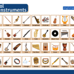 Musical Instruments Names in English with Pictures