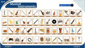 Musical Instruments Names in English with Pictures