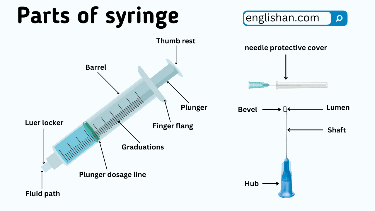 Parts of Syringe Names in English And Their Functions