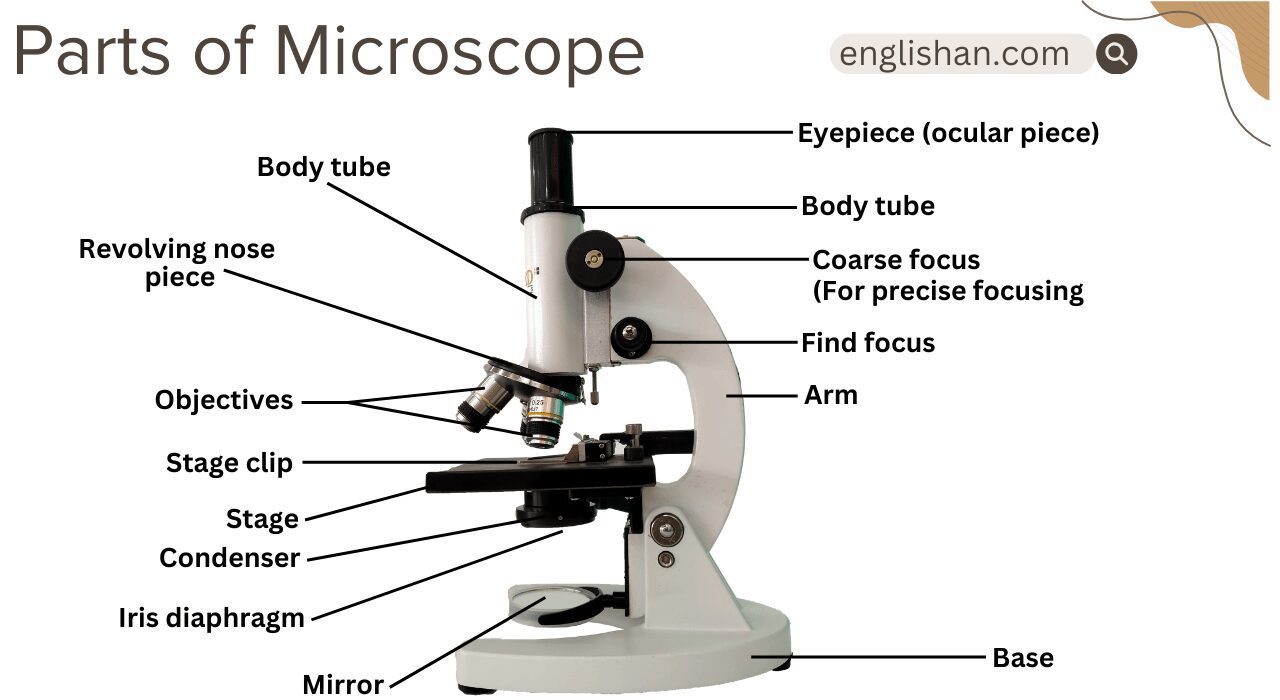 Parts of Microscope and their Functions