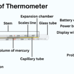 Parts of Thermometer Names in English with Their Functions