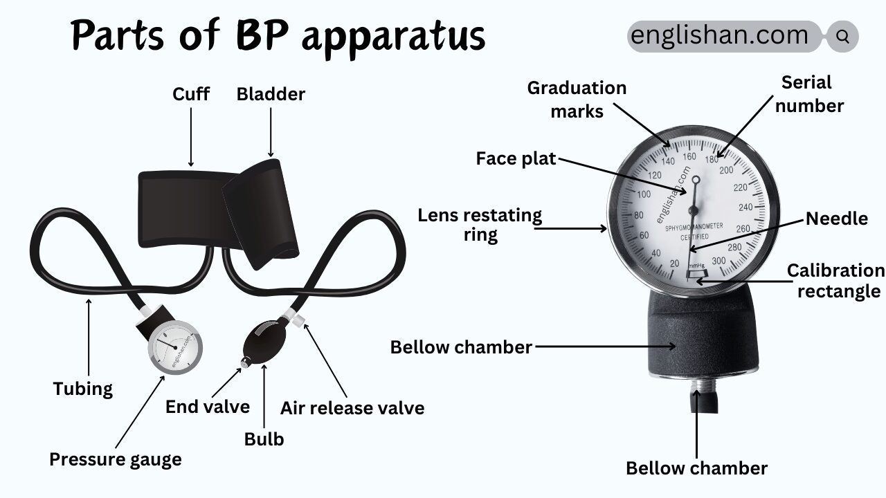 Parts of BP Apparatus Names in English with Their Functions