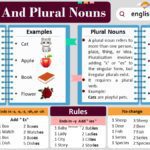 Singular and Plural Nouns