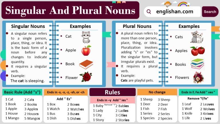 Singular And Plural Animals