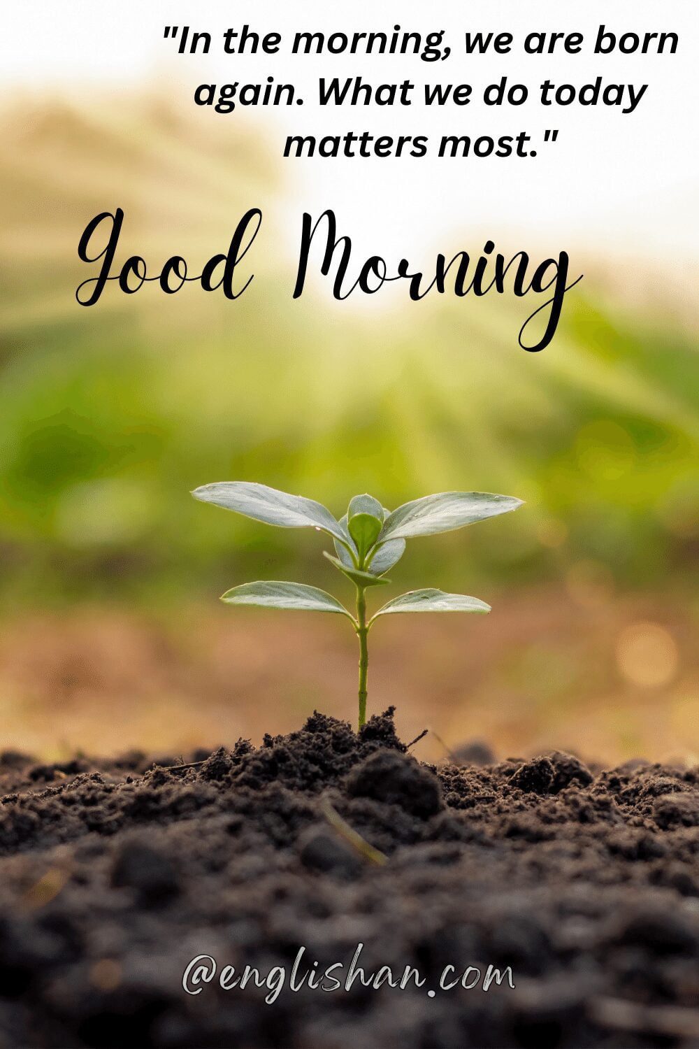 Good Morning Images for Beautiful Days