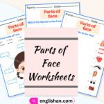 Parts of Face Worksheets and Exercises