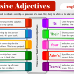 Possessive Adjectives