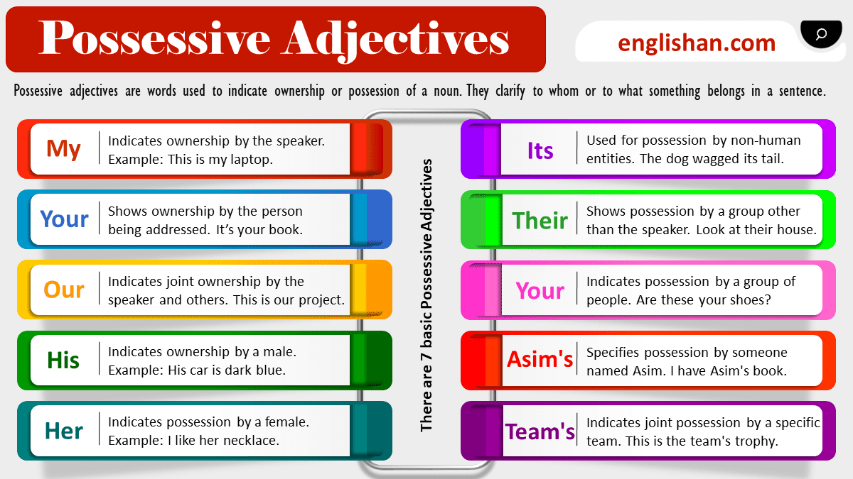 Possessive Adjectives in English with Examples • Englishan