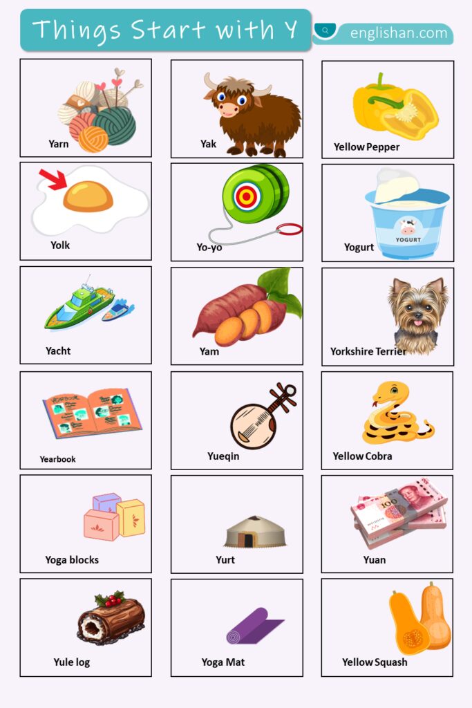 List of things that start with letter Y in English