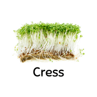 Cress