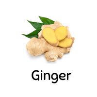Ginger