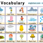 List of Words To Describe Rain: Drizzle To Downpour