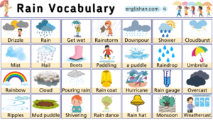 List of Words To Describe Rain: Drizzle To Downpour