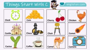 Things That Start with C words list with foods and animals