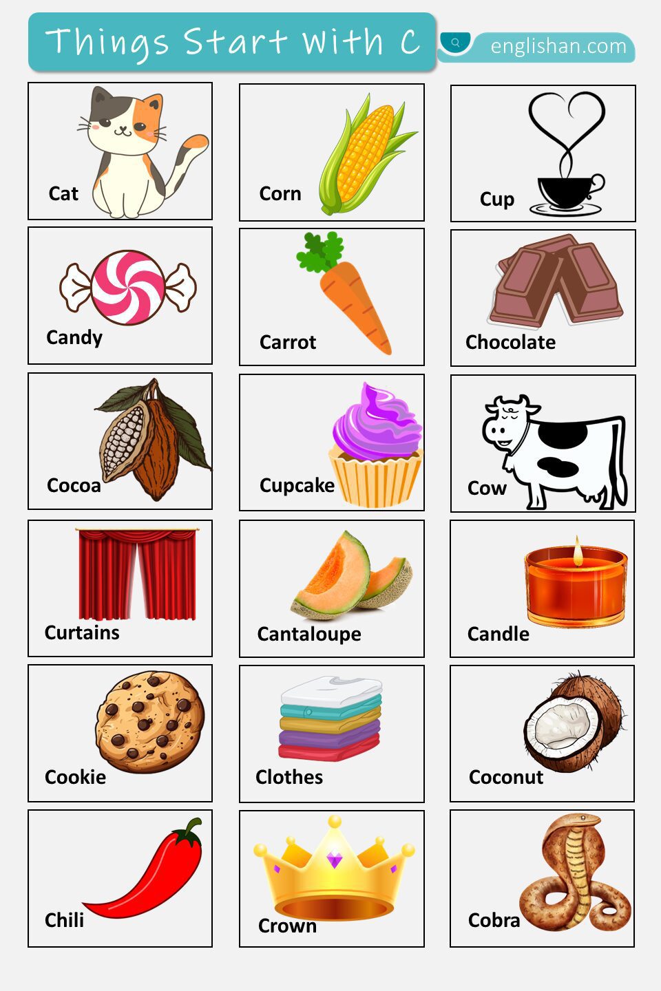 Things Start with C with Pictures Names In English