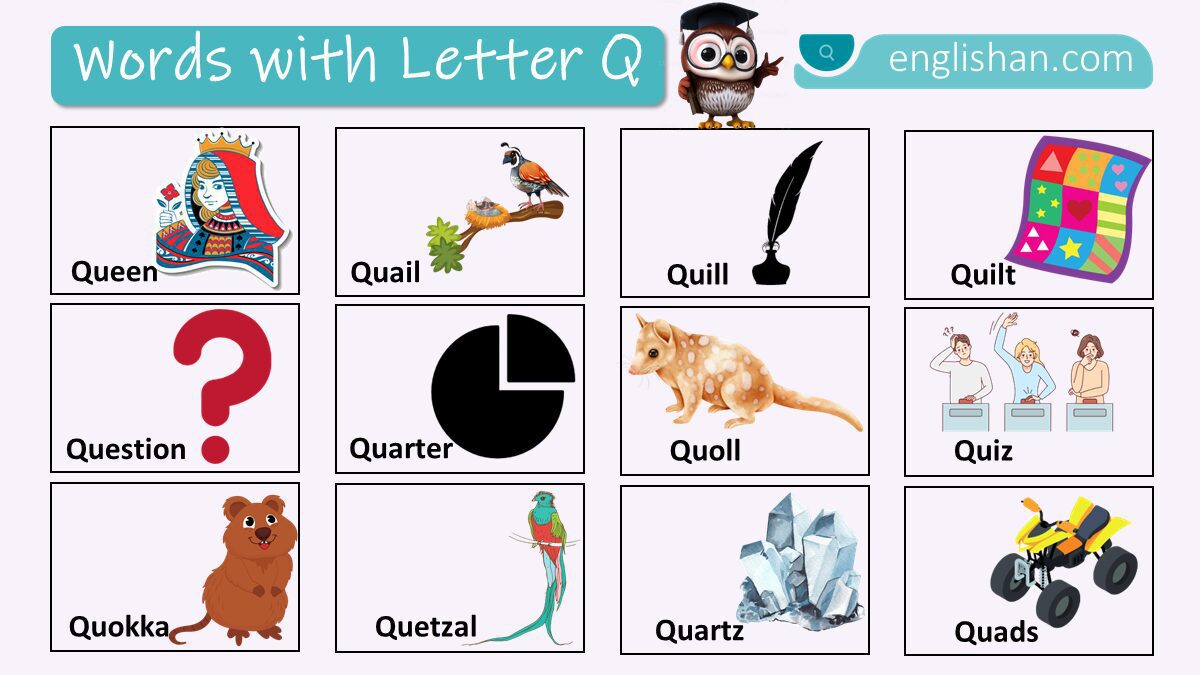 Words with Letter Q Names In English