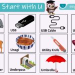 Things that start with U complete words list collection in English
