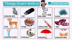 Things that start with U complete words list collection in English