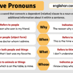 Relative pronouns in English grammar with structure and rules