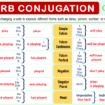 Verb Conjugation