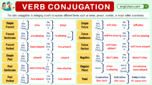 Verb Conjugation
