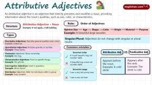 Attributive Adjectives in English with Examples, Types and Comparison with Predicate Adjectives