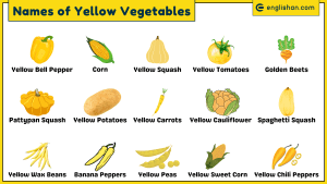 Names of Yellow Vegetables with Pictures