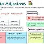 Predicate Adjectives with Examples, Definition, Examples and Comparison with Attributive Adjectives