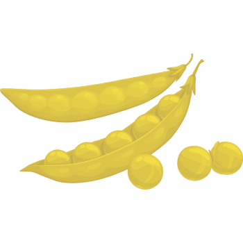 Yellow Peas