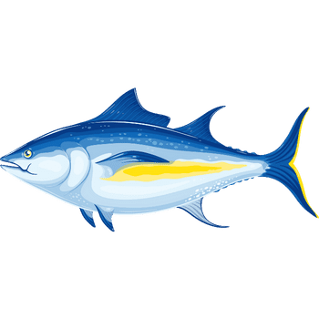 Bluefin Tuna