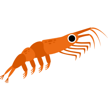 Krill