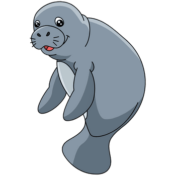 Manatee